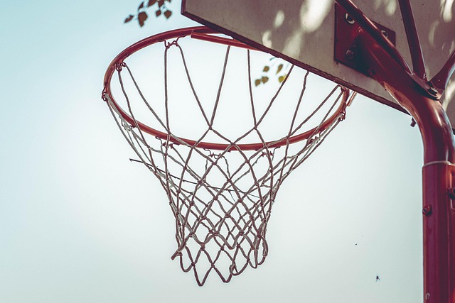 Protezione Basket