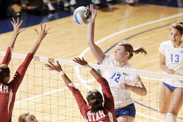 Rete Protezione Pallavolo